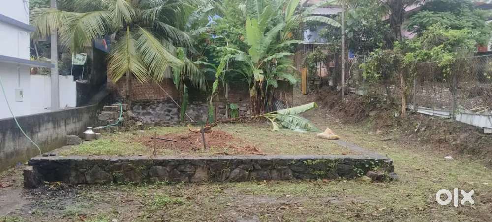 6.5 cent plot for sale at pappanamcode