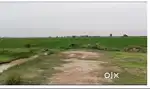 23 Acers Agriculture Land for Sale in Chengalpat to Maduranthagam Road