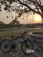 Cycle no damage
