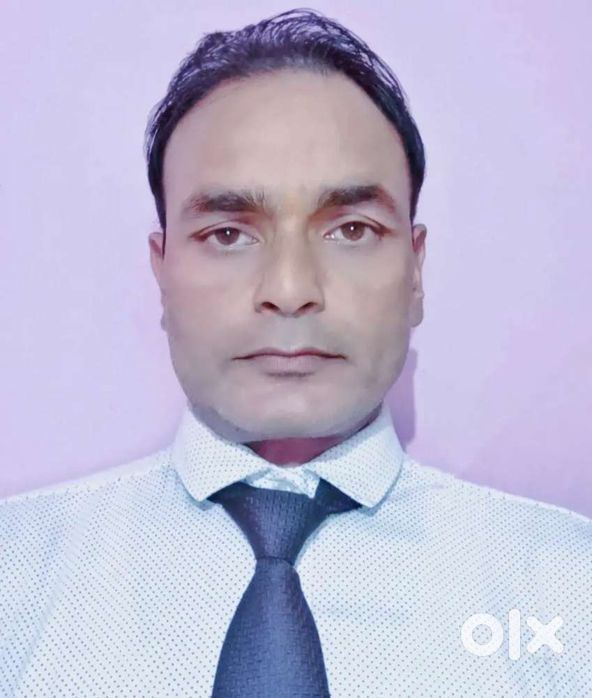 Area sales Manager
