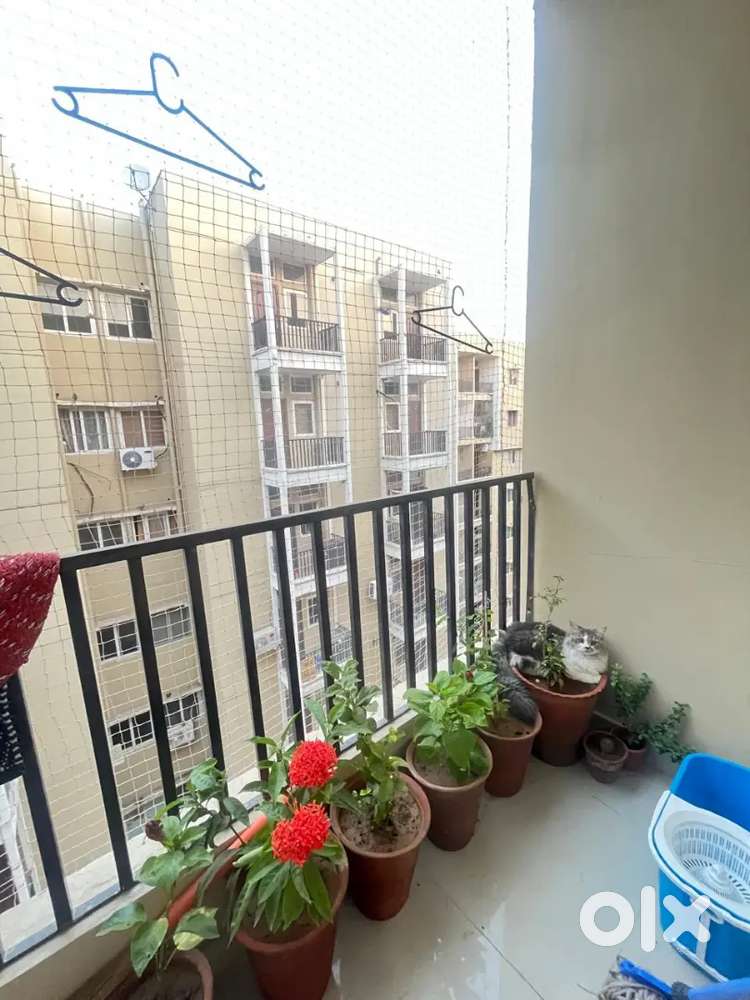 1 room with attached washroom in 2bhk sharing flat