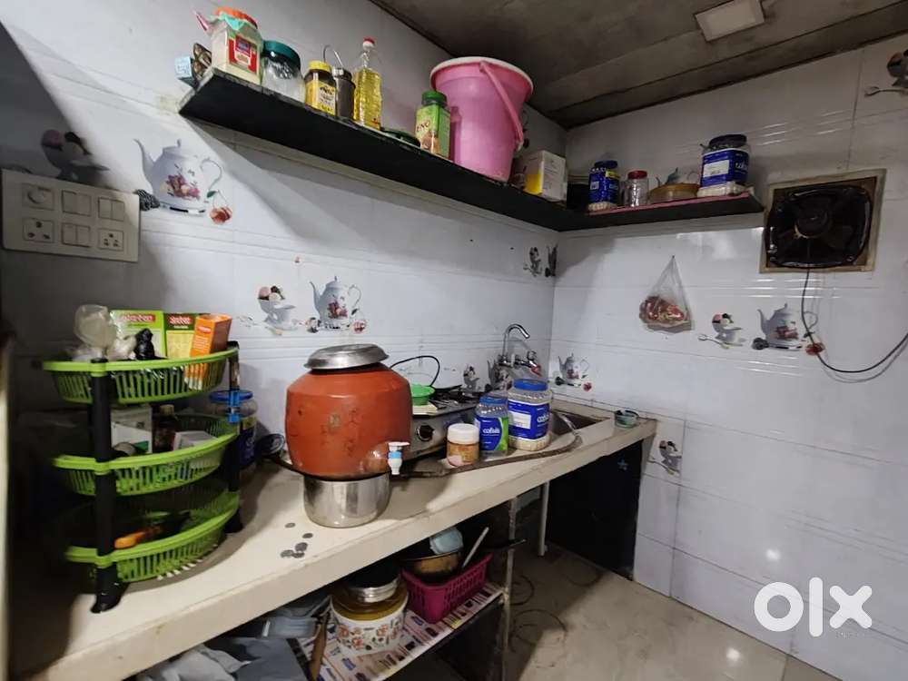 Need one or two roommates