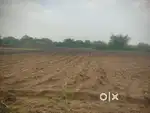 వ్యవసాయ భూమి అమ్మకానికి కలదు ఎన్నారం గ్రామం కోటిపల్లి మండల్