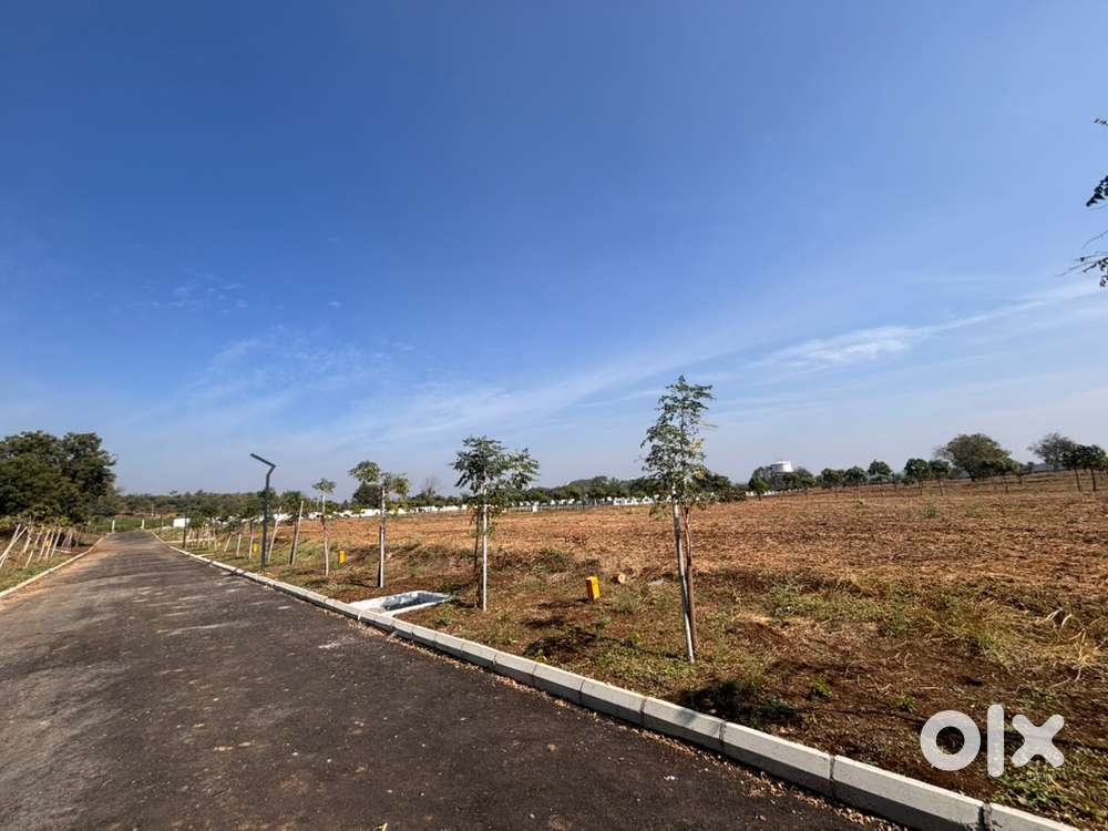 T4 homes (Urban Grove project)