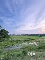 4 Bigha 4 Kotha Land For Sell