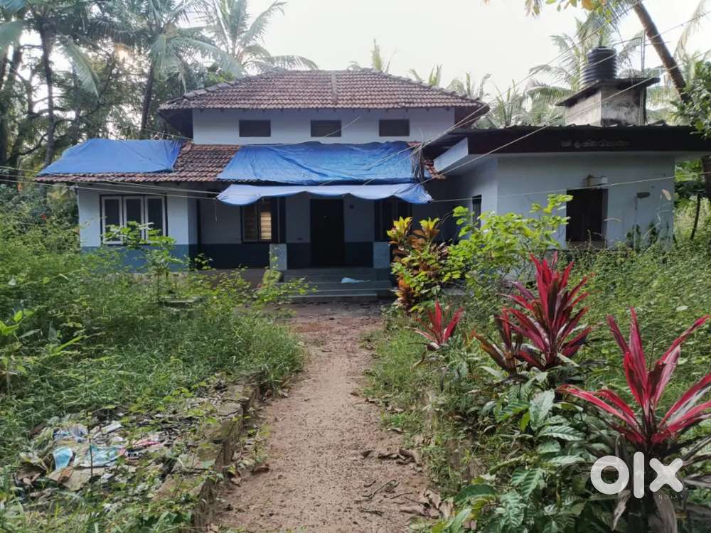 Traditional type villa for rent near Chalad Temple, Kannur