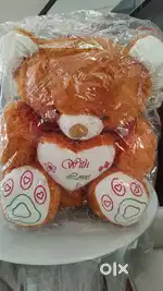 New Teddy bear