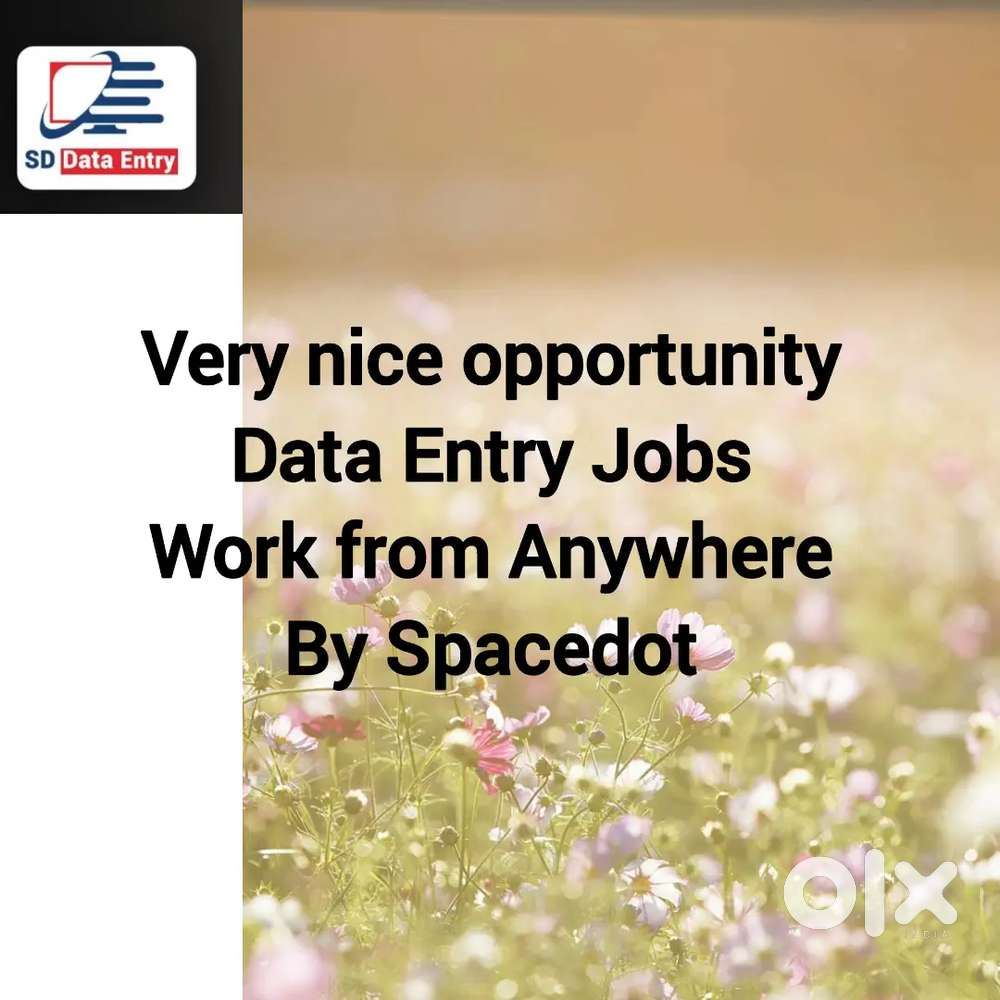 Very nice Data Entry Jobs