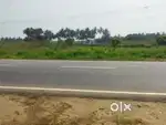 77cent (convert)nillam palakkad pallatheri mani road