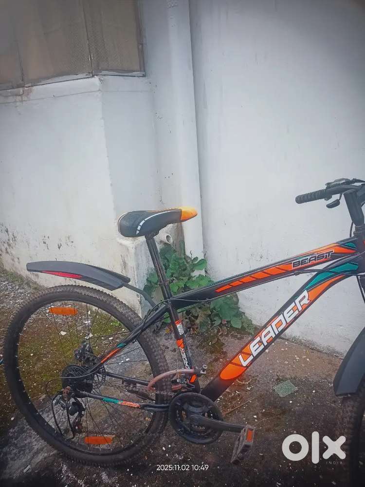 Leader 29-T. 21 gear 5 month old