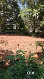 House plot for sale at Mundayad