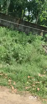 Nandhikulangara. N. Parur
