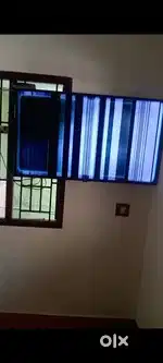MI TV 50inch line fault