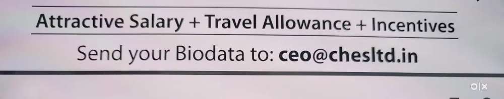 Office assistant Female