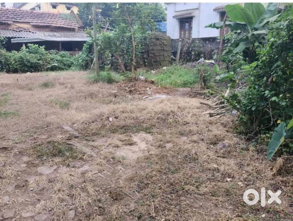 This is open plot or land