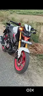 Mt 15 2024 model