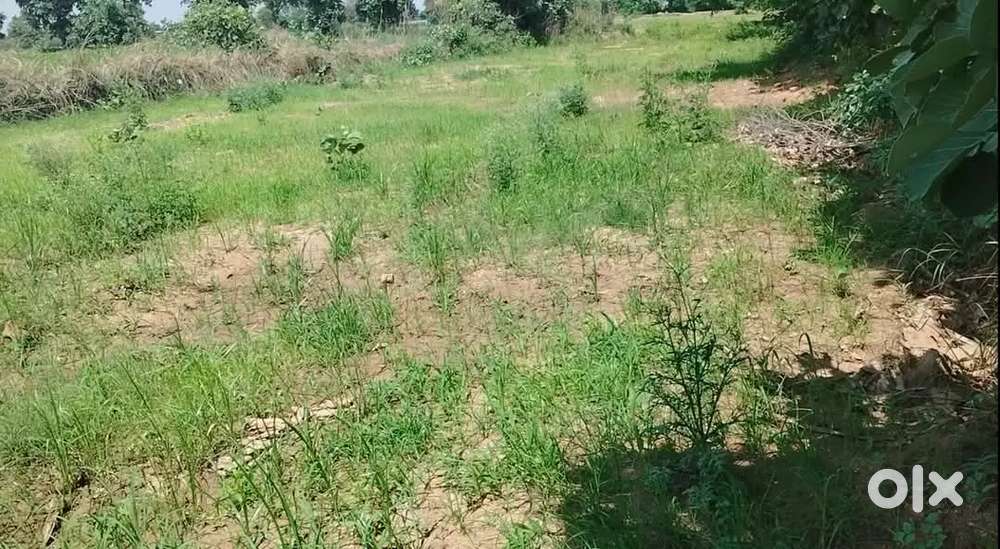 2 एकड़ जमीन बेचना है 
टांकोरी गढ़मऊ रेलवे क्रॉसिंग से लगी हुई है