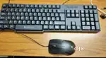 Zebronics keyboard with box