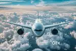 Urgent hiring for indigo airlines apply fast