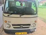 Good condition ACE gold