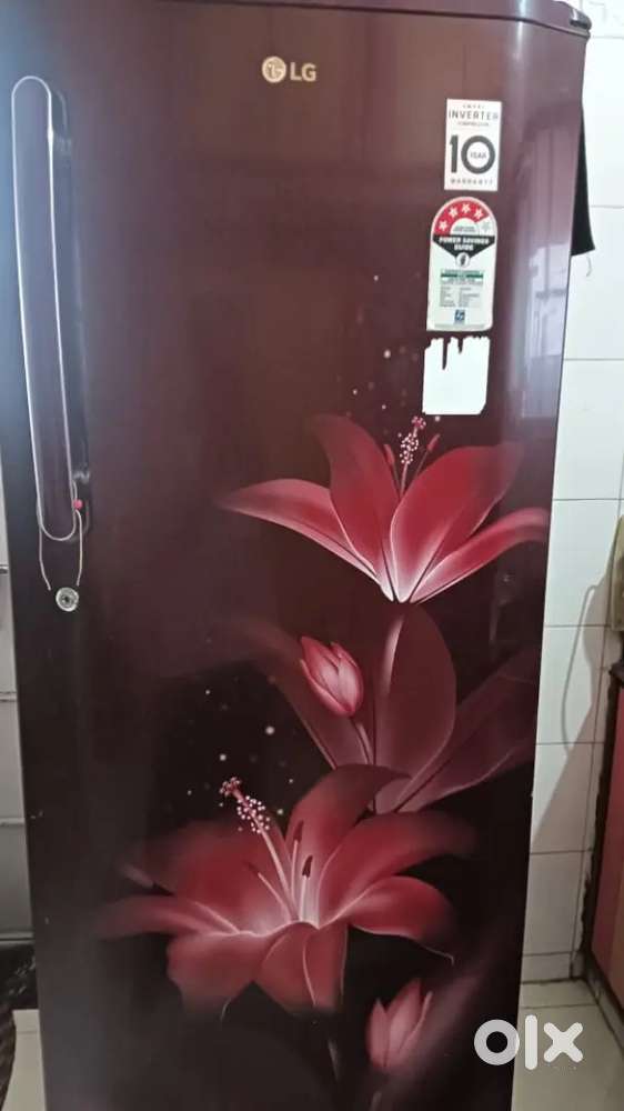 LG fridge 270