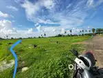 Empty land 179 cent per cent 56000 only /-