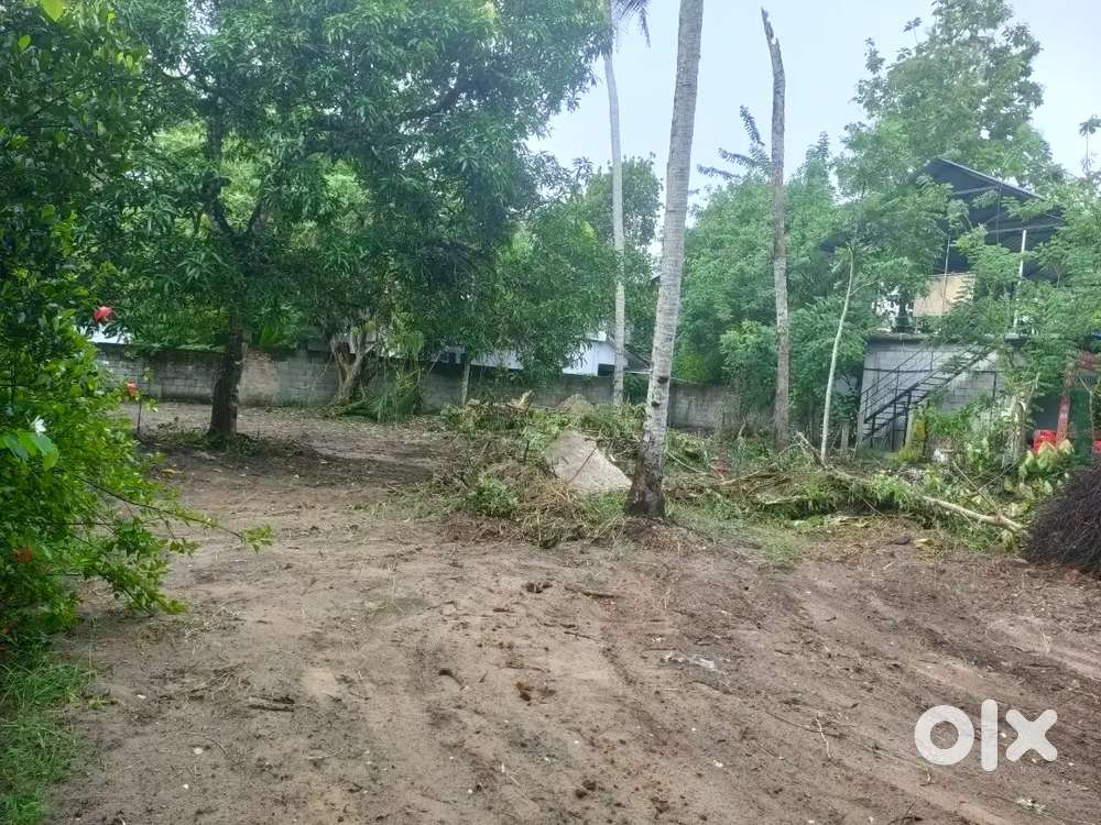 ആലപ്പുഴ അർത്തുങ്കൽ റോഡിൽ 14.5 സെന്റ് ഭൂമി വിൽപ്പനയ്ക്ക്