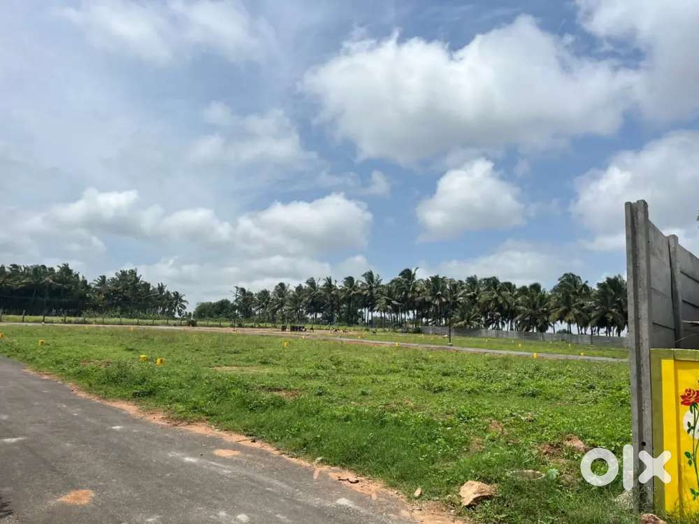 DTCP Approved Residential Plots Near Marine college Backside