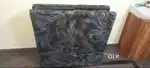 Foldable cot