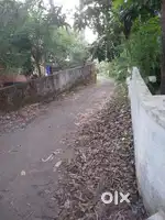 9cent Land for sale near JK Nagar,  Kanniyampuram, Ottapalam.