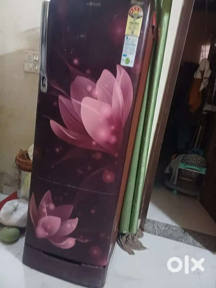 Big size refrigerator sale low price