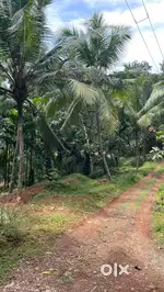 Plot for sale in Chemmarathur