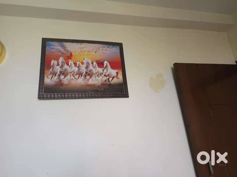 PG for girl ( Roommate or Flatmate)