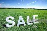 Pg sale dehrakhas
