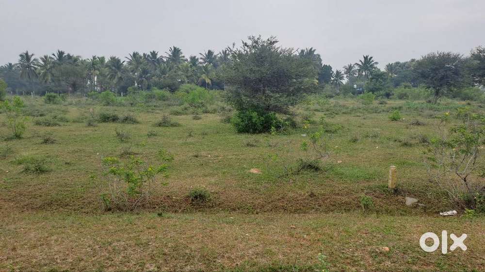 Excellation location South facing, gods air , water individual patta