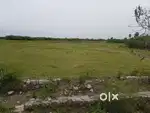 விவசாய நிலம்