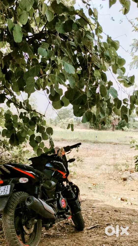 Pulsar 150 twin disc