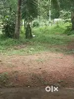 80 cent with house for sale one cent..1.20000 per cent