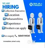 Collection Executive