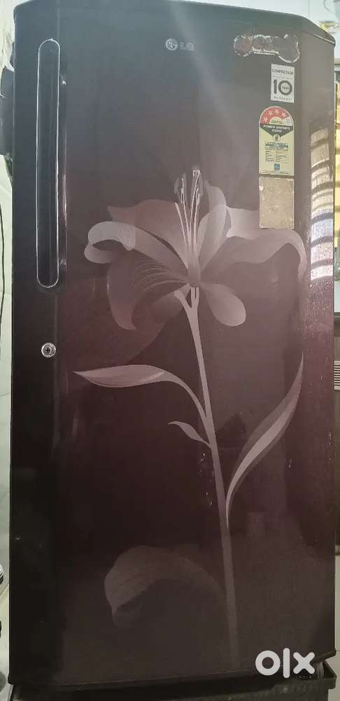 LG Refrigerator 215 ltrs Four star