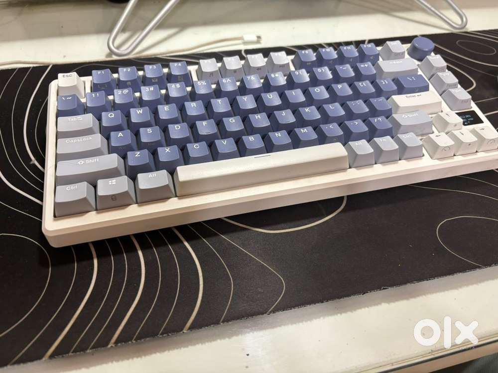 Royal kludge M 75 premium (modded)