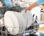 Cleaning Staff ( Restaurant, Dish washing)