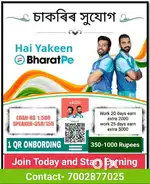 Field sales executive in Bharatpe