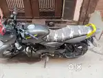Pulsar 150 CC Neon 2019 Model