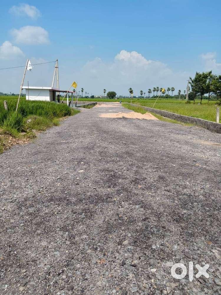Plot Sizes are 150 sq yds at chinnaogiral crda