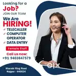 Telecaller & Data operator