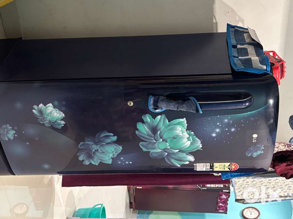 Lg refrigerator
