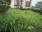 Kaloor stadium 6cent land for sale