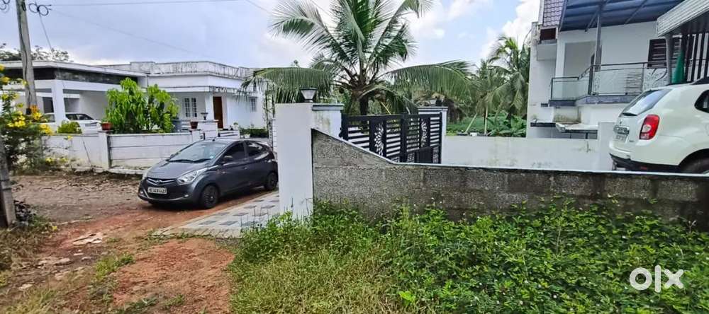 Kothamagalam -Kozhippilly 6 Cent House plot for sale