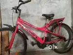 AVON KINE (Red Black)